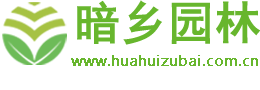 安庆市暗乡花卉商城